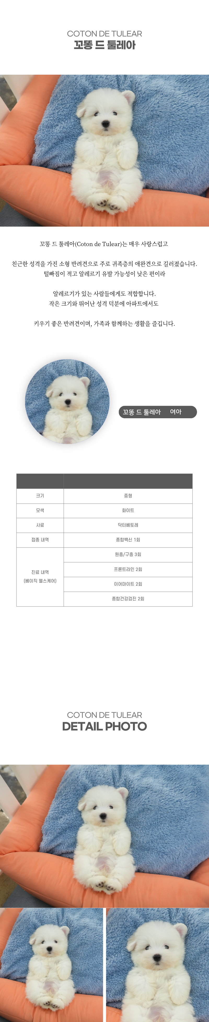 꼬똥_상세이미지_2